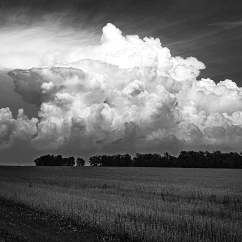 Photo #9453675
