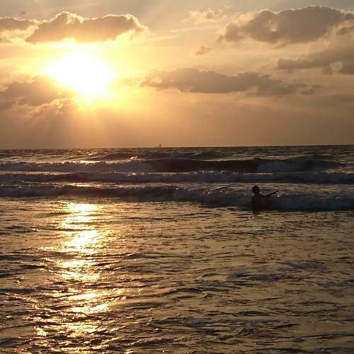 Photo #9454349