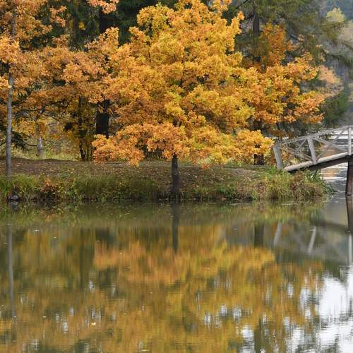 Photo #9454545