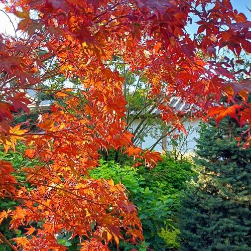 Photo #9455223