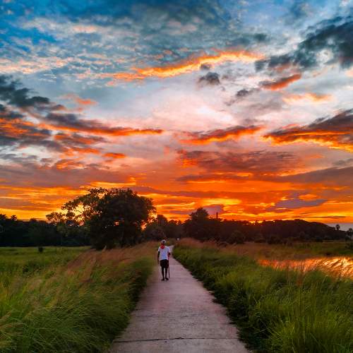 Sunset view