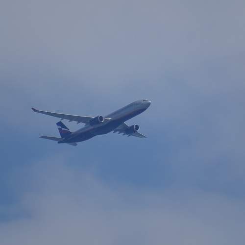 Photo #9455679