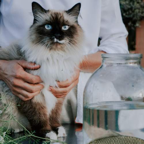 Photo #9456006