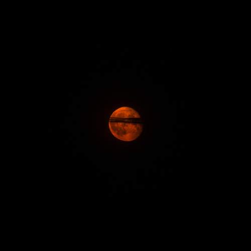 Photo #9456146