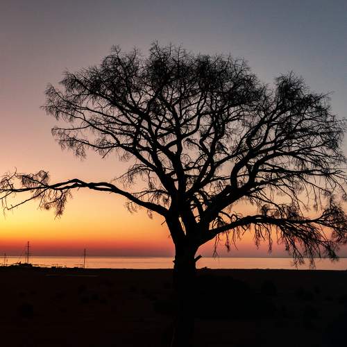 Photo #9456355