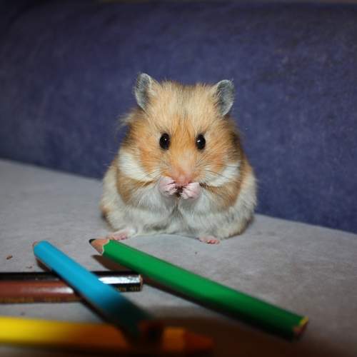 Photo #9456552