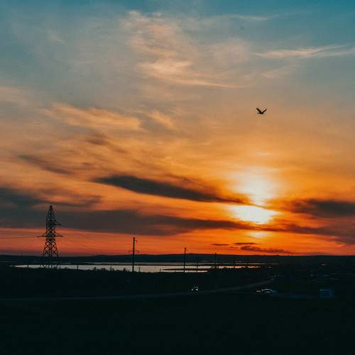 Photo #9457131