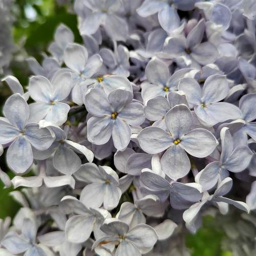 Photo #9457567