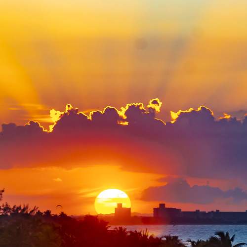 Photo #9457652