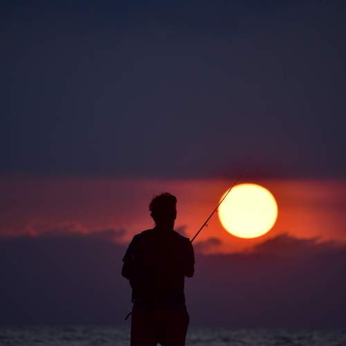 Photo #9458744