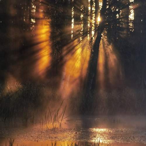 Photo #9458869