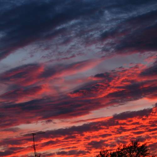 Photo #9459125