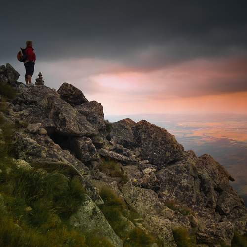 Photo #9460735