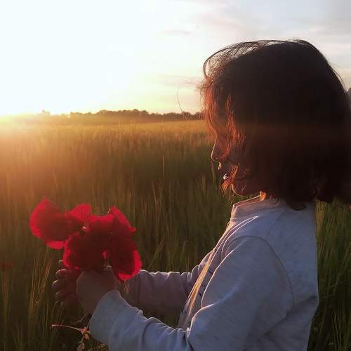 Photo #9460945