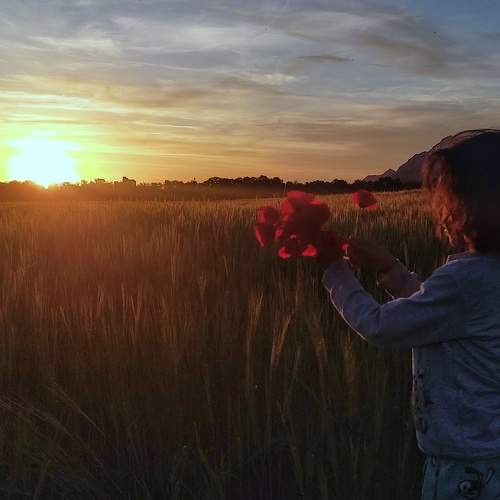 Photo #9460968