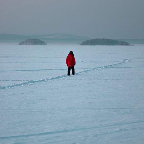Photo #9461033