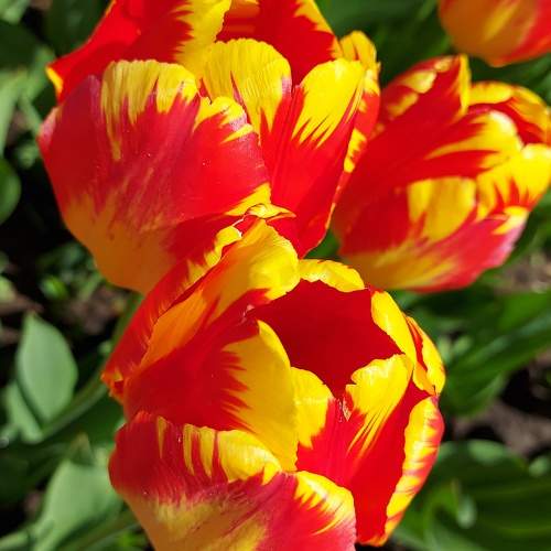 Фотография #9461154