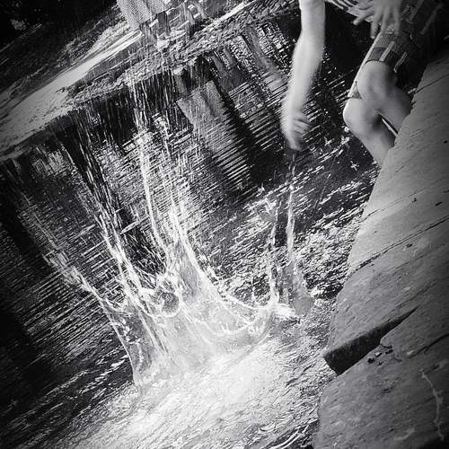 Photo #9461500