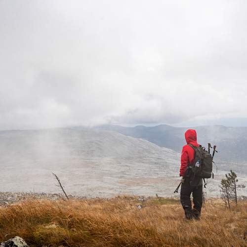 Photo #9461614