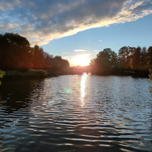 Photo #9461962