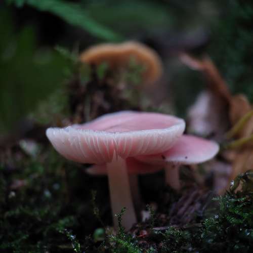 Photo #9462000