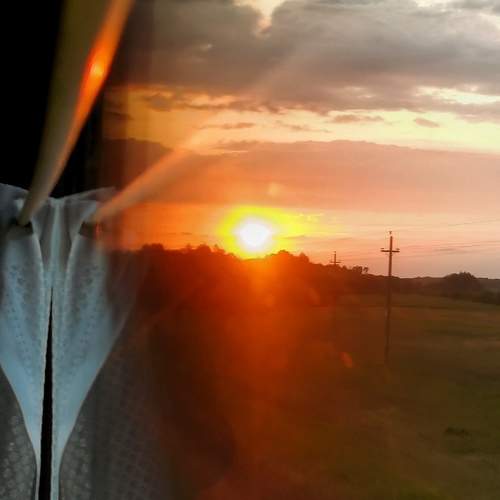 Photo #9462175