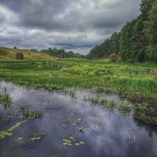 Photo #9462543