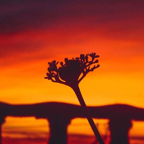 Photo #9463104