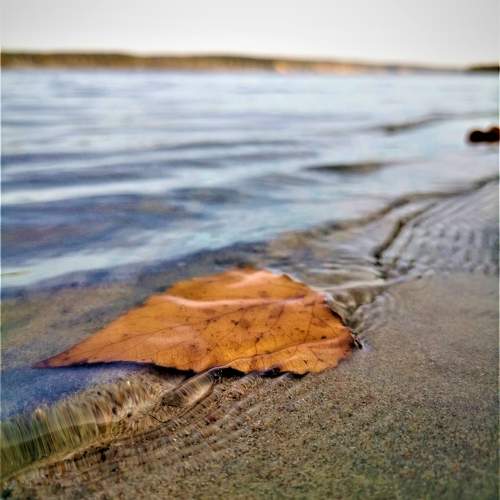 Photo #9463256