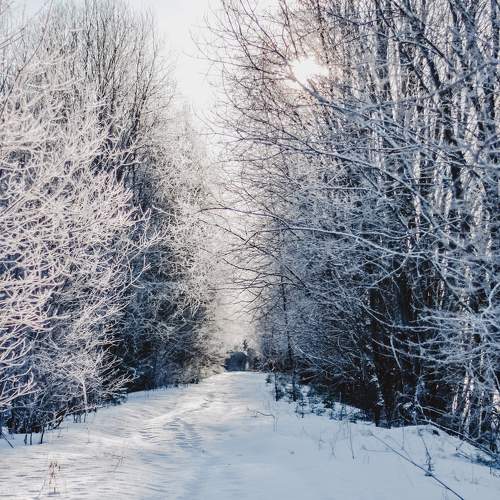 Photo #9463528