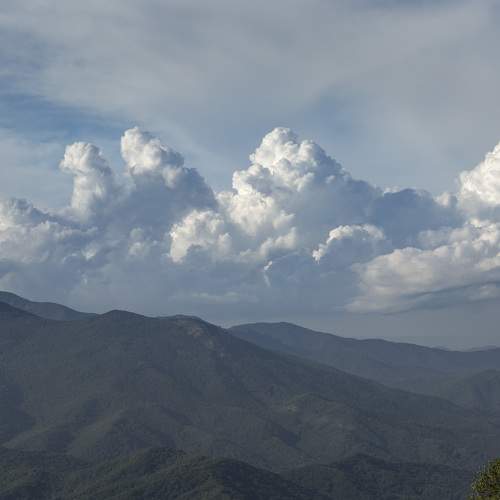 Photo #9463569