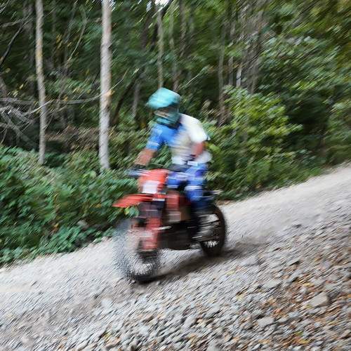 Photo #9463837
