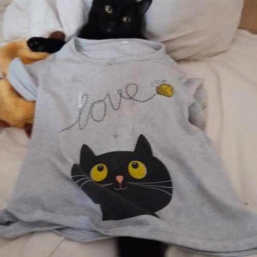 Photo #9463846