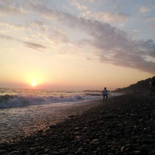 Photo #9464006