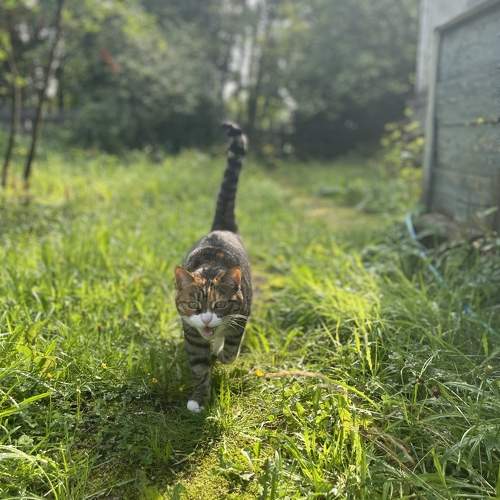 Photo #9464579