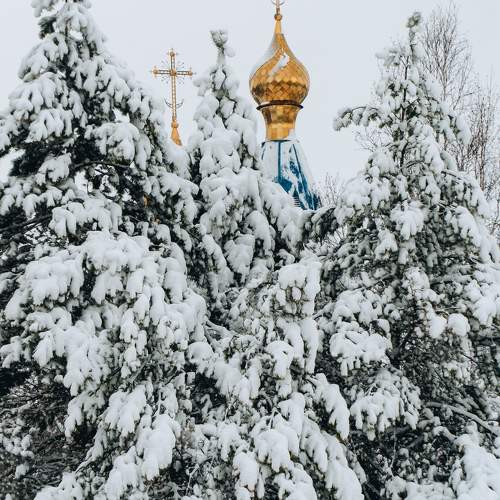 Photo #9464607