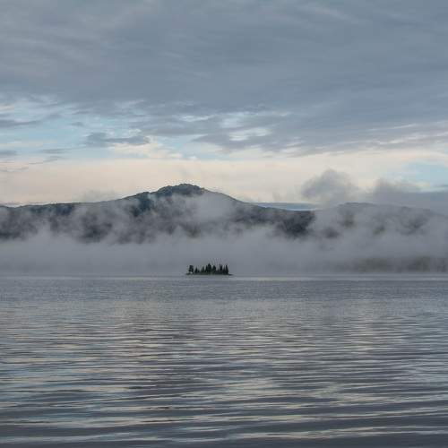 Photo #9464682
