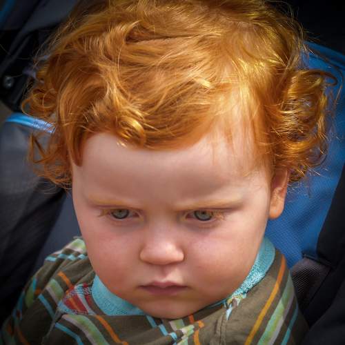 Photo #9464803