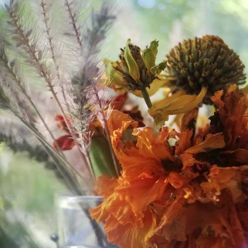 Photo #9465064