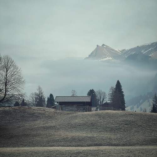 Photo #9465083