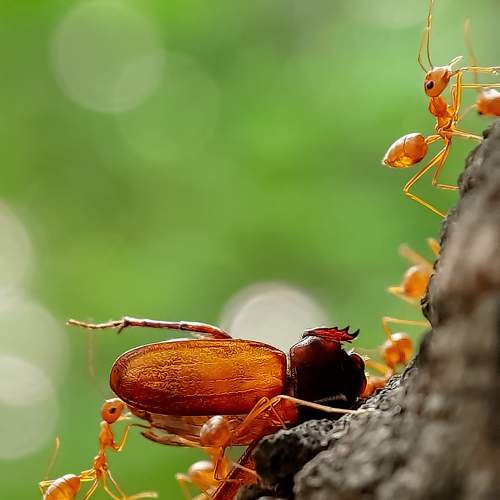 Photo #9465129