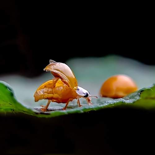 Photo #9465141