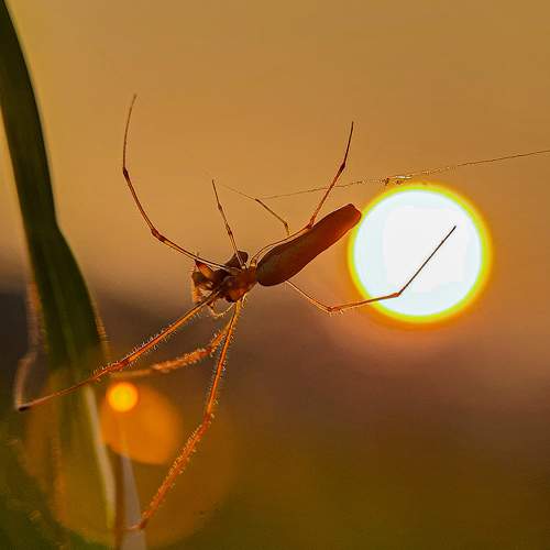 Photo #9465163