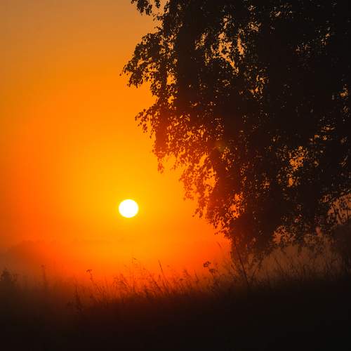 Photo #9465453