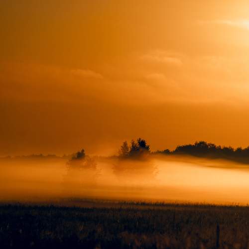 Photo #9465456