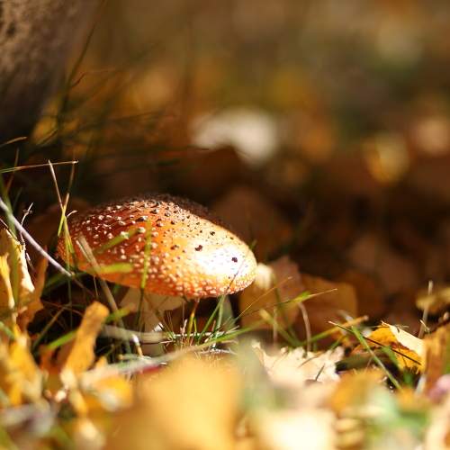 Photo #9465495