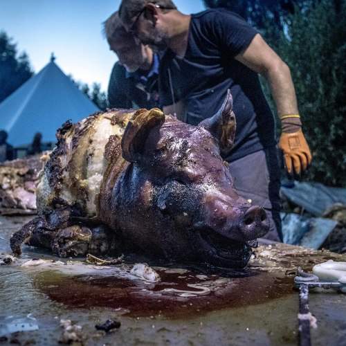 Фотография #9465656