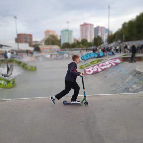 Photo #9465731