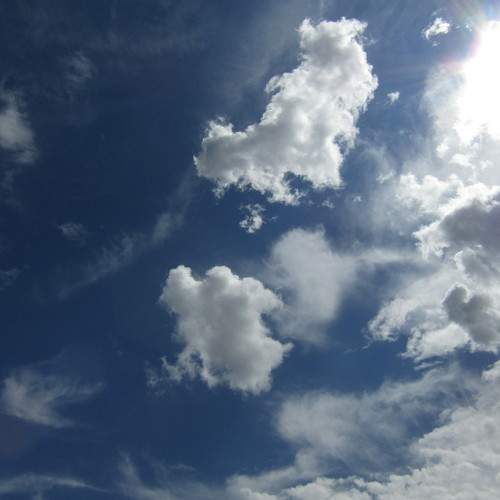 Photo #9466165