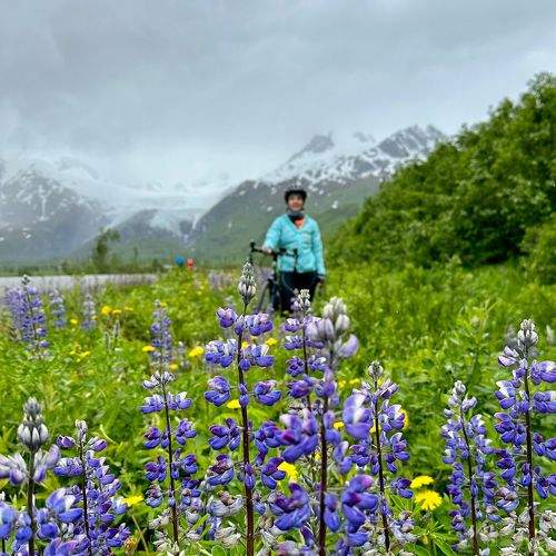 Photo #9466319
